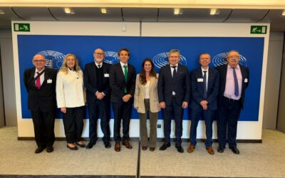 El Colegio de Mediadores de Seguros de la Región de Murcia lleva al Parlamento Europeo las reivindicaciones del sector