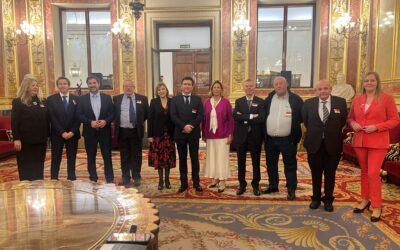 Visita Institucional al congreso de los diputados